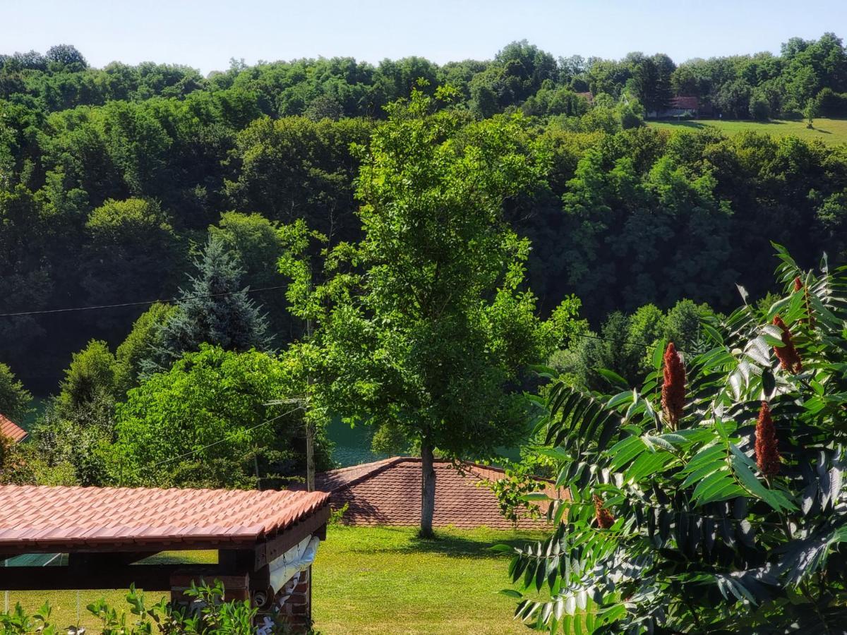 Guesthouse Mreznica- Mreznicka Idila Resort Galovic-Selo 외부 사진
